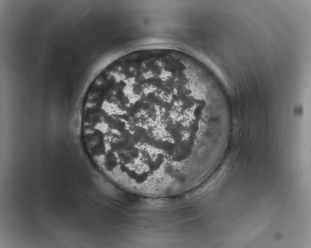 X0000102811413200809150941