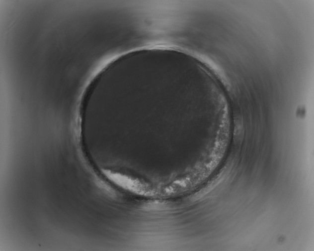 X0000102811414200809150941