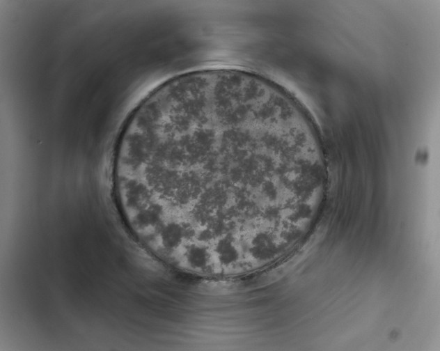 X0000102811415200809150941