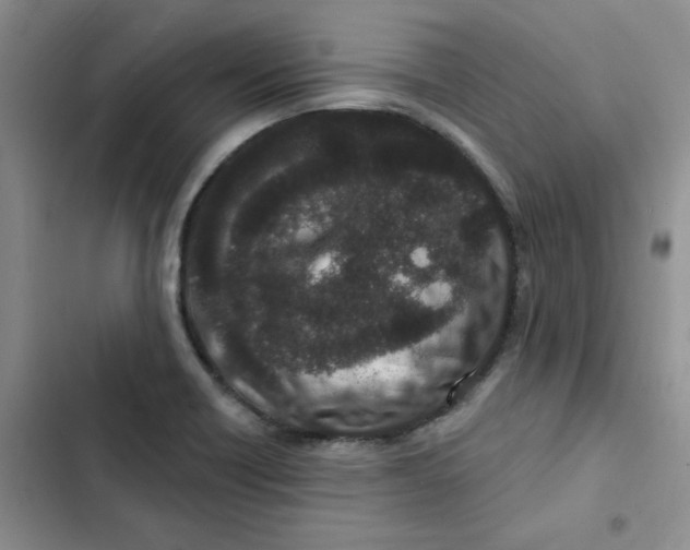 X0000102811418200809150941