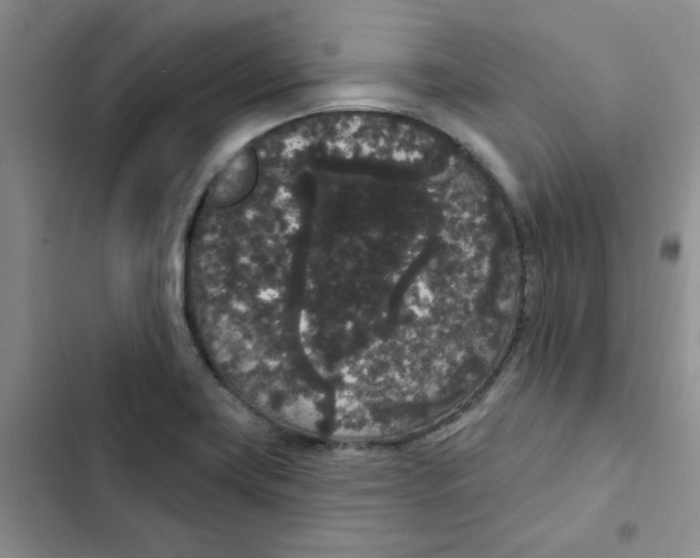 X0000102811419200809150941