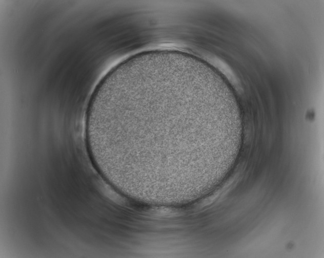 X0000102811420200809150941