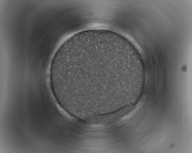 X0000102811421200809150941