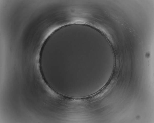 X0000102811422200809150941