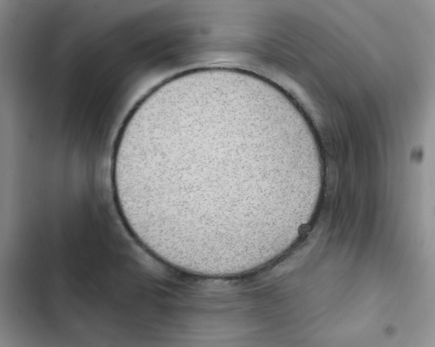 X0000102811424200809150941