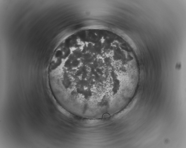 X0000102811425200809150941