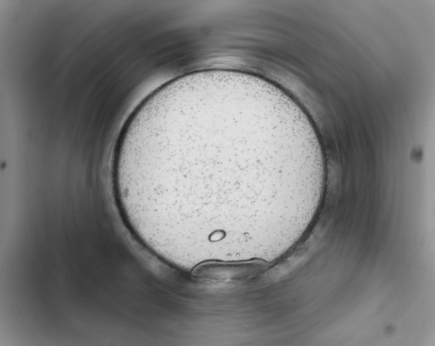 X0000102811426200809150941