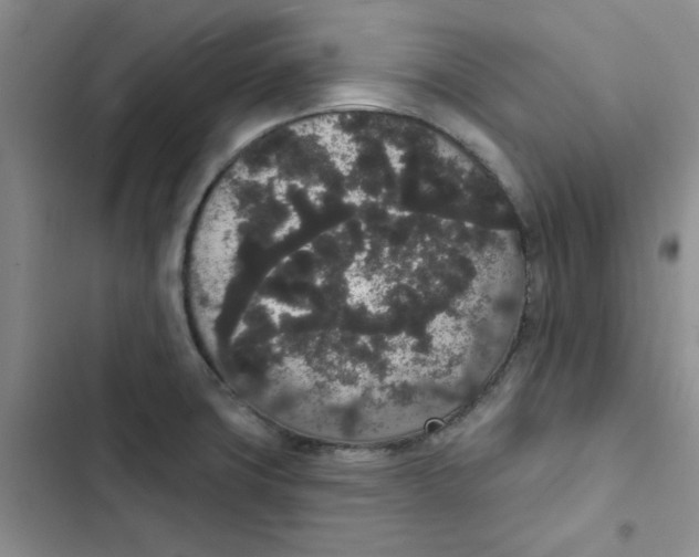 X0000102811427200809150941