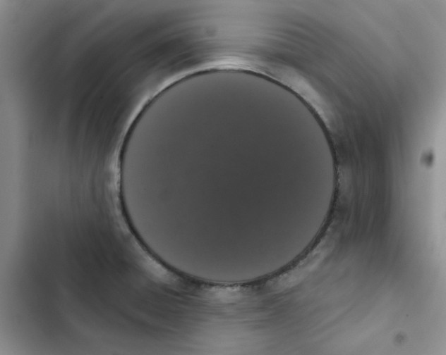 X0000102811428200809150941