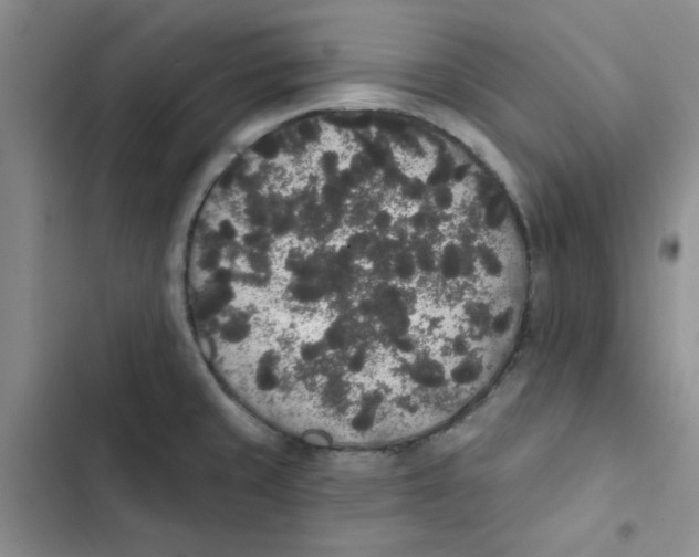 X0000102811429200809150941