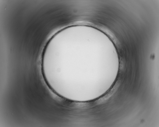 X0000102811430200809150941