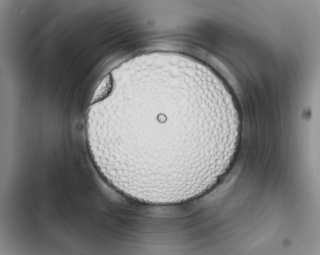 X0000102811433200809150941