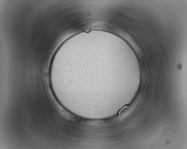 X0000102811434200809150941