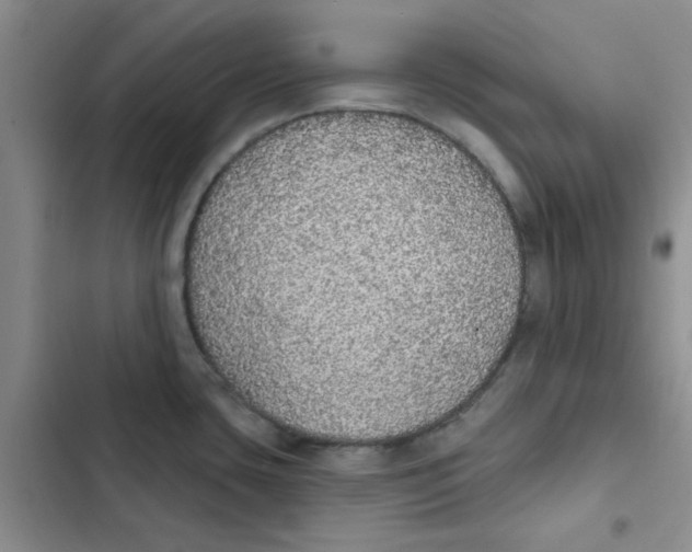 X0000102811435200809150941