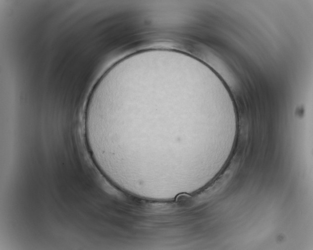 X0000102811436200809150941