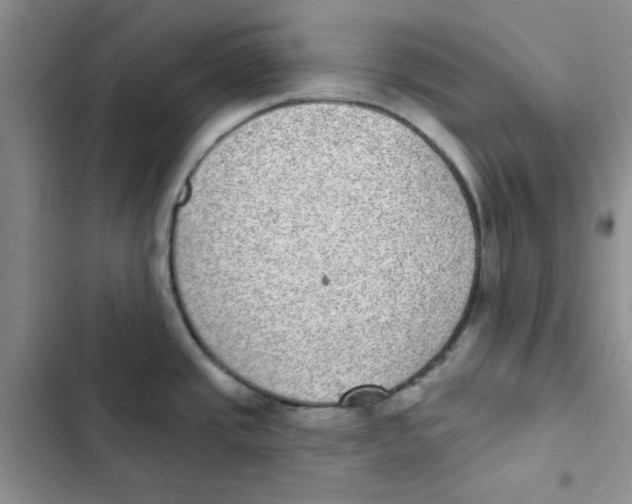 X0000102811437200809150941