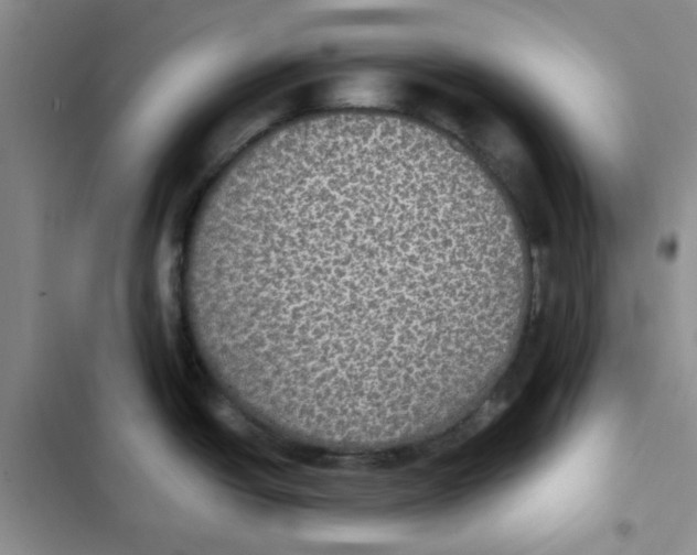 X0000102811438200809150941