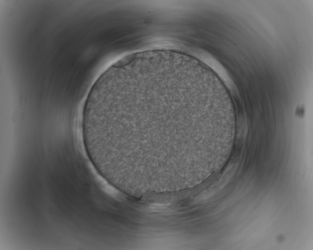 X0000102811439200809150942