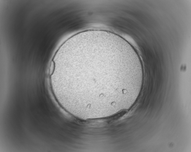 X0000102811440200809150942