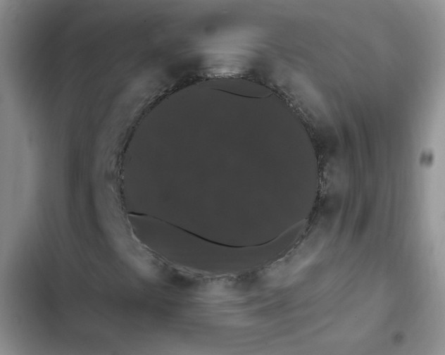 X0000102811441200809150941