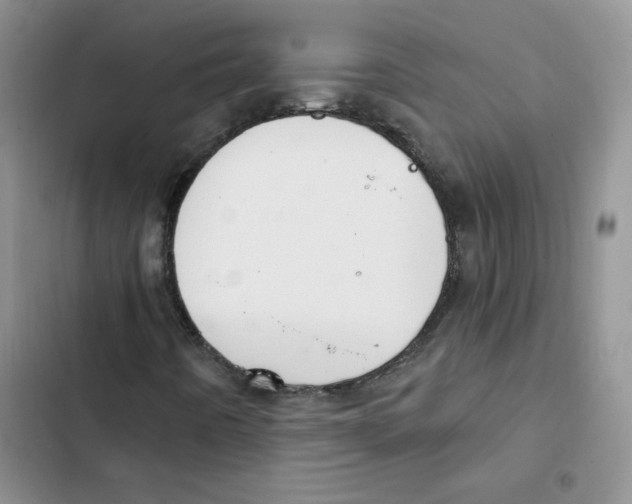 X0000102811442200809150941