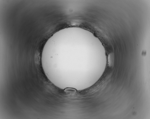 X0000102811443200809150941