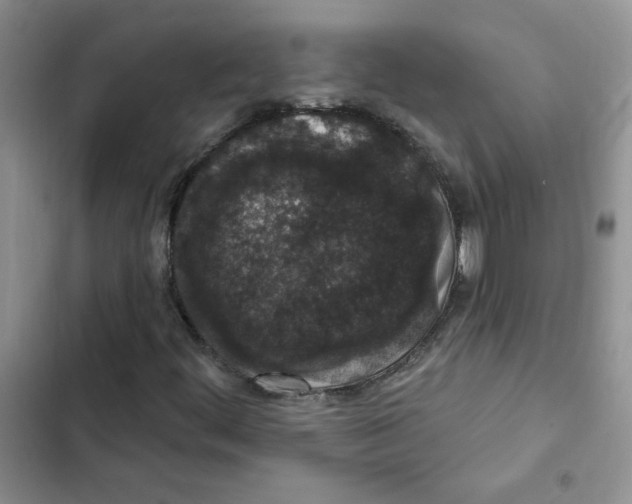 X0000102811444200809150941