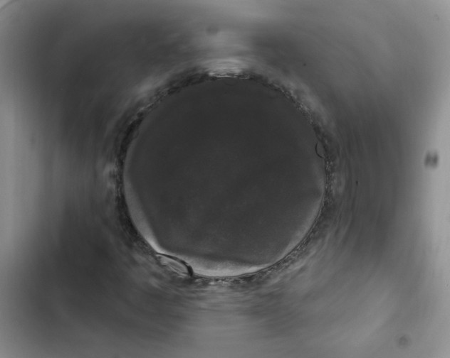 X0000102811445200809150941