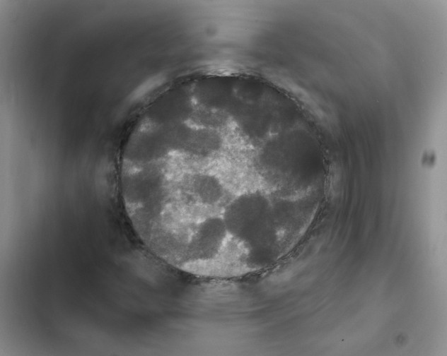 X0000102811446200809150941