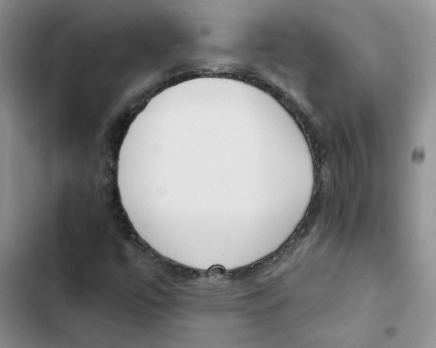 X0000102811447200809150941