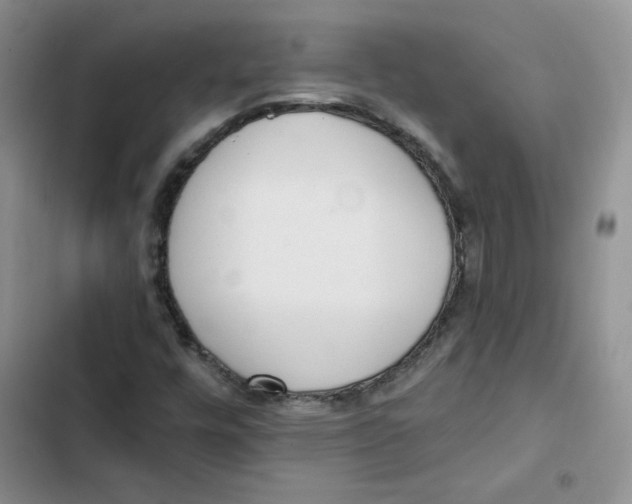 X0000102811448200809150941