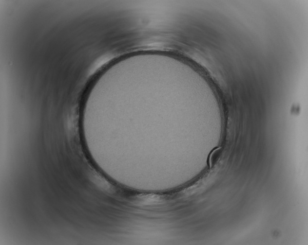 X0000102811450200809150941