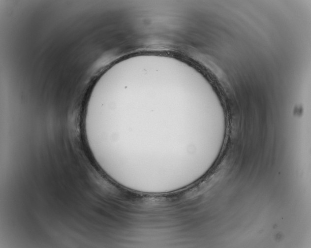 X0000102811451200809150941