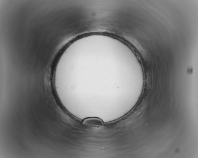 X0000102811452200809150941