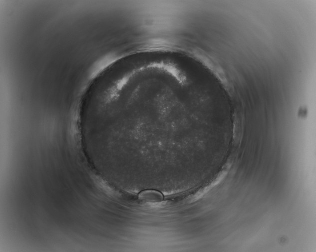 X0000102811453200809150941