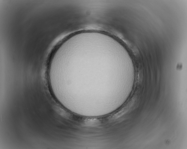 X0000102811454200809150941