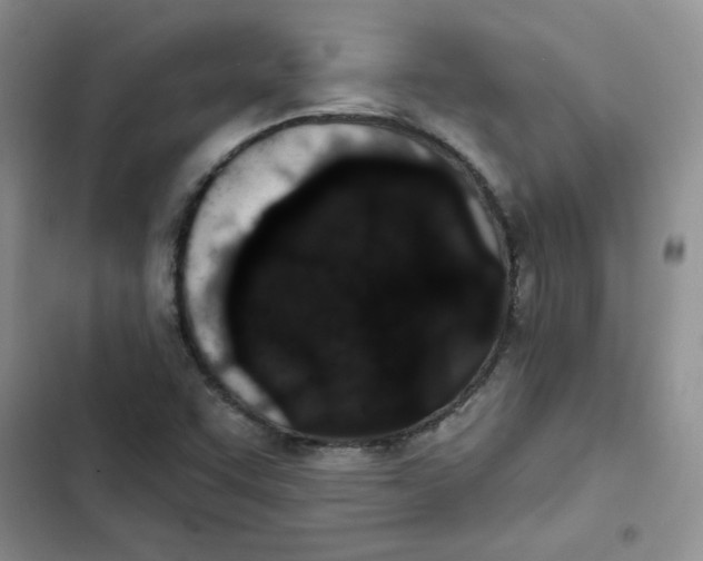 X0000102811455200809150941