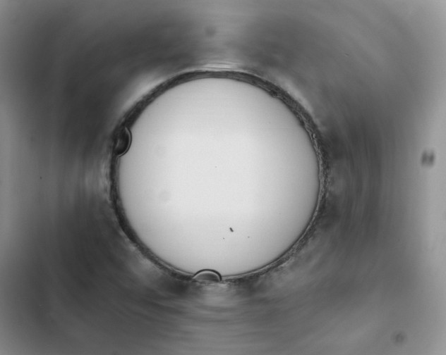 X0000102811456200809150941