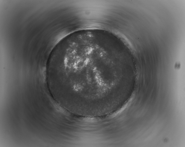 X0000102811457200809150941