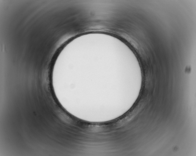 X0000102811458200809150941