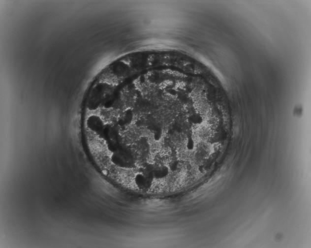 X0000102811459200809150941