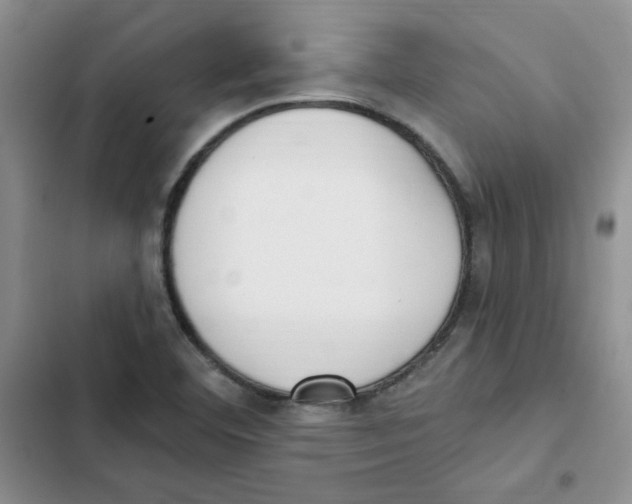 X0000102811460200809150941