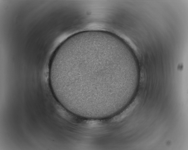 X0000102811461200809150941