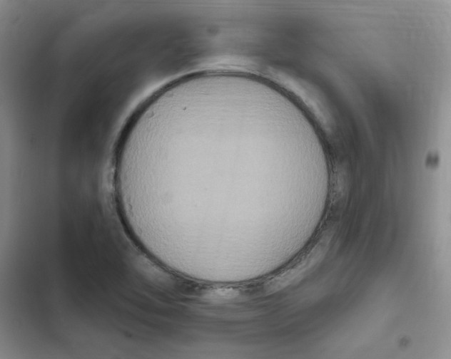 X0000102811462200809150941