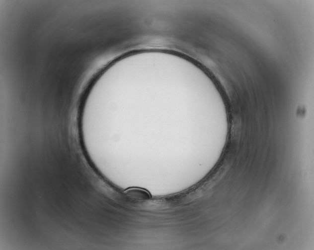 X0000102811464200809150941