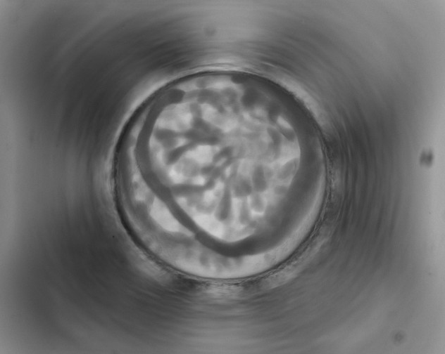 X0000102811466200809150941