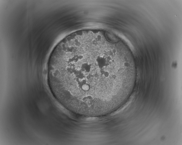 X0000102811467200809150941