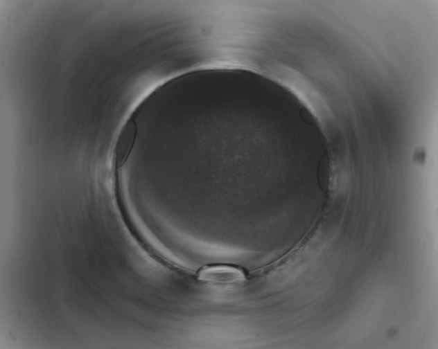 X0000102811468200809150940