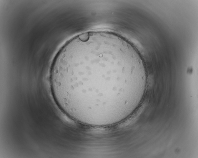 X0000102811470200809150940