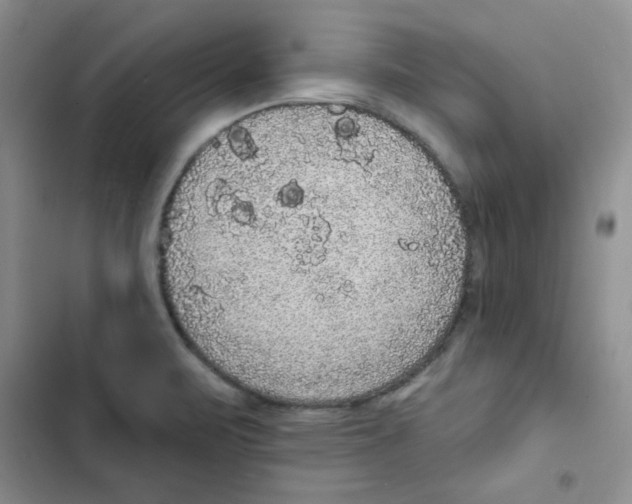 X0000102811471200809150940